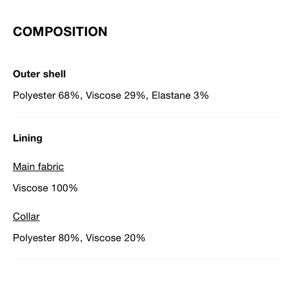 Zara Oversized Blazer - Picture 16 of 16